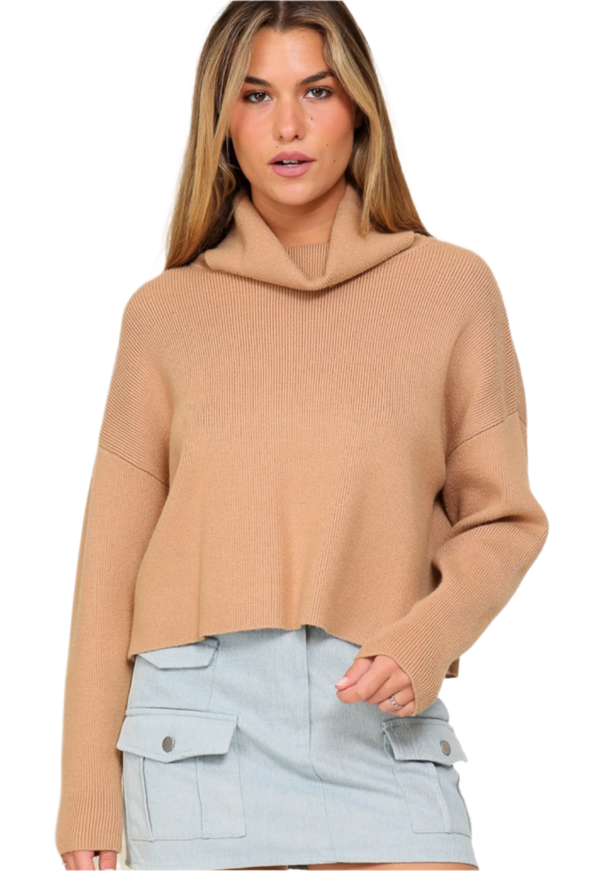 The Turtleneck Knit sweater