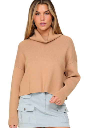 The Turtleneck Knit sweater