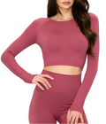 A model wearing a mauve solid color long sleeve seamless crop top and matching leggings.