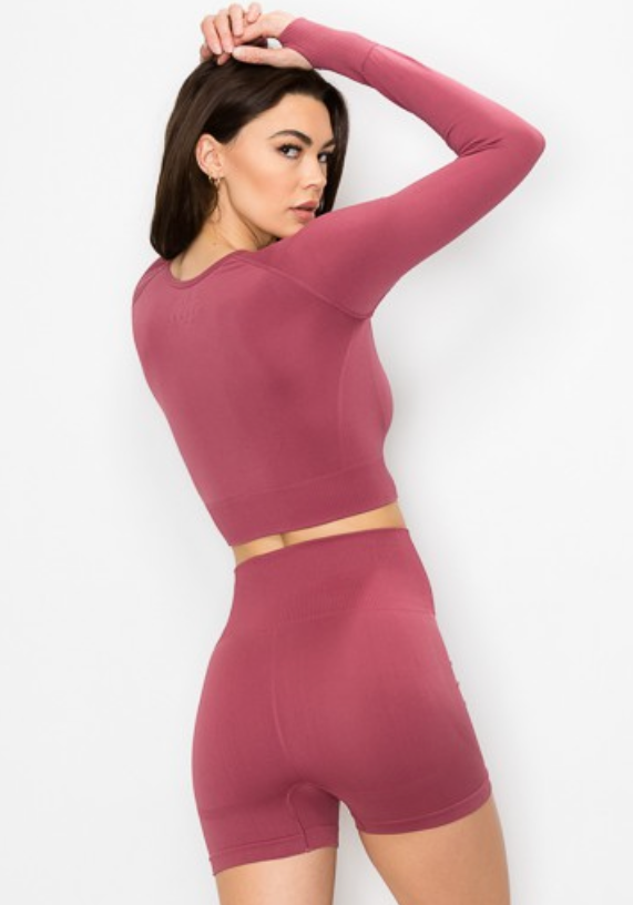 A model wearing a mauve solid color long sleeve seamless crop top and matching leggings.